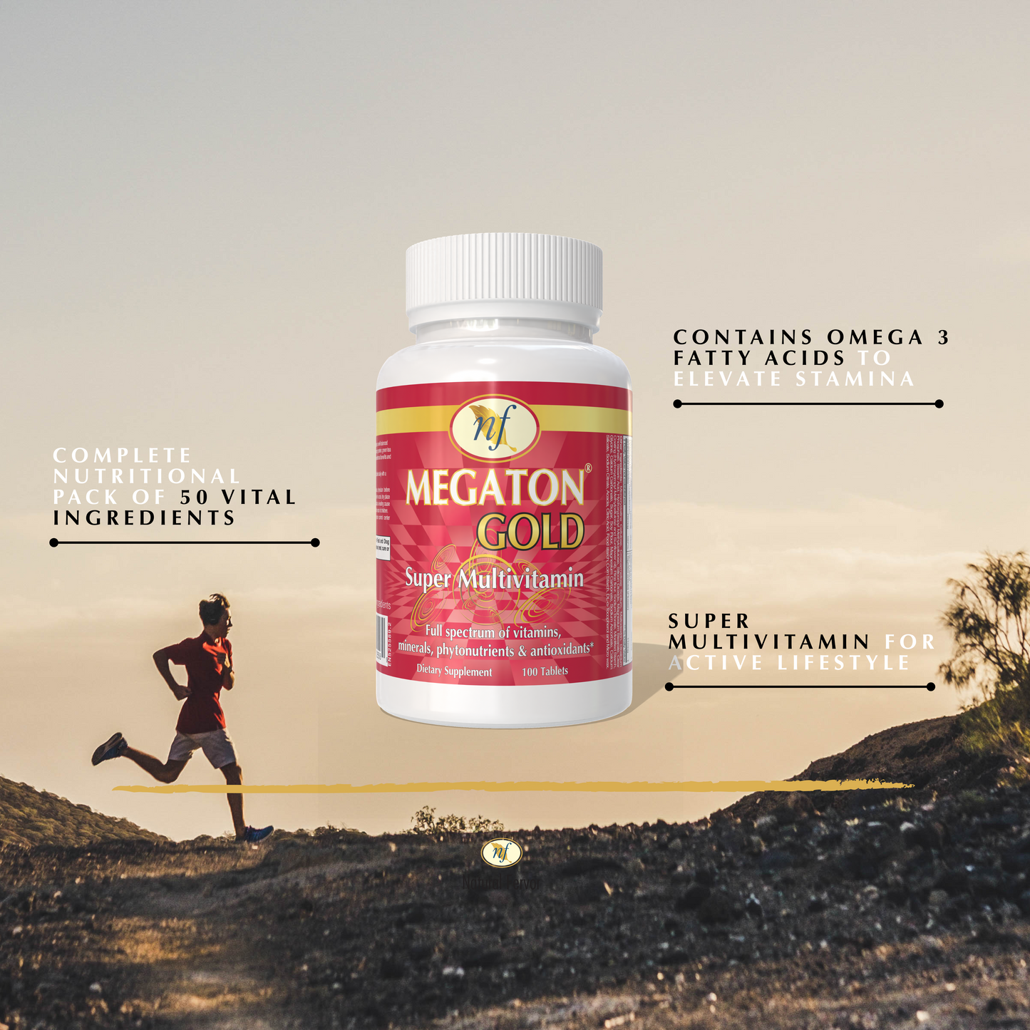 MEGATON GOLD